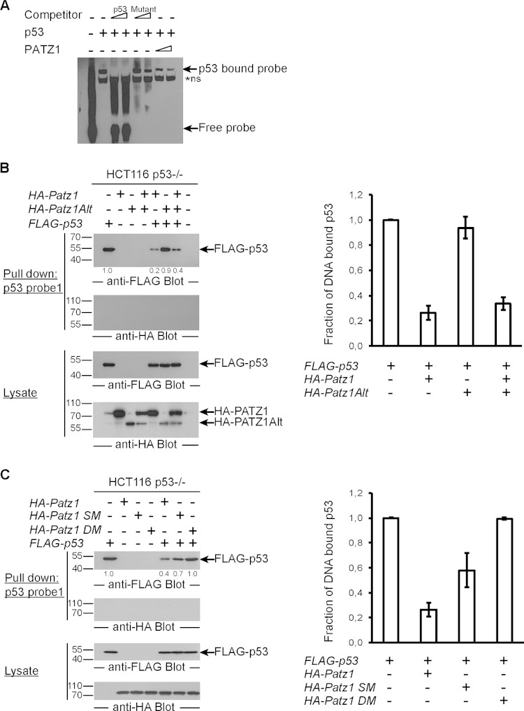 FIG 6