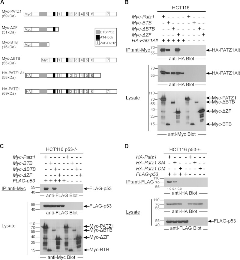 FIG 4