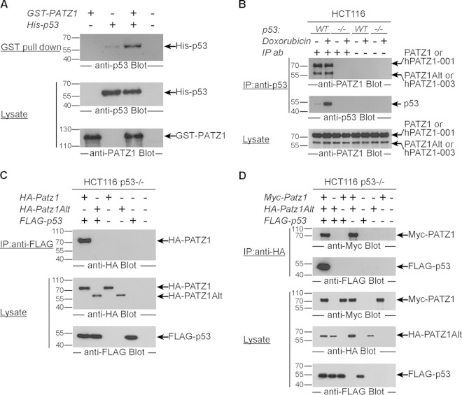 FIG 3