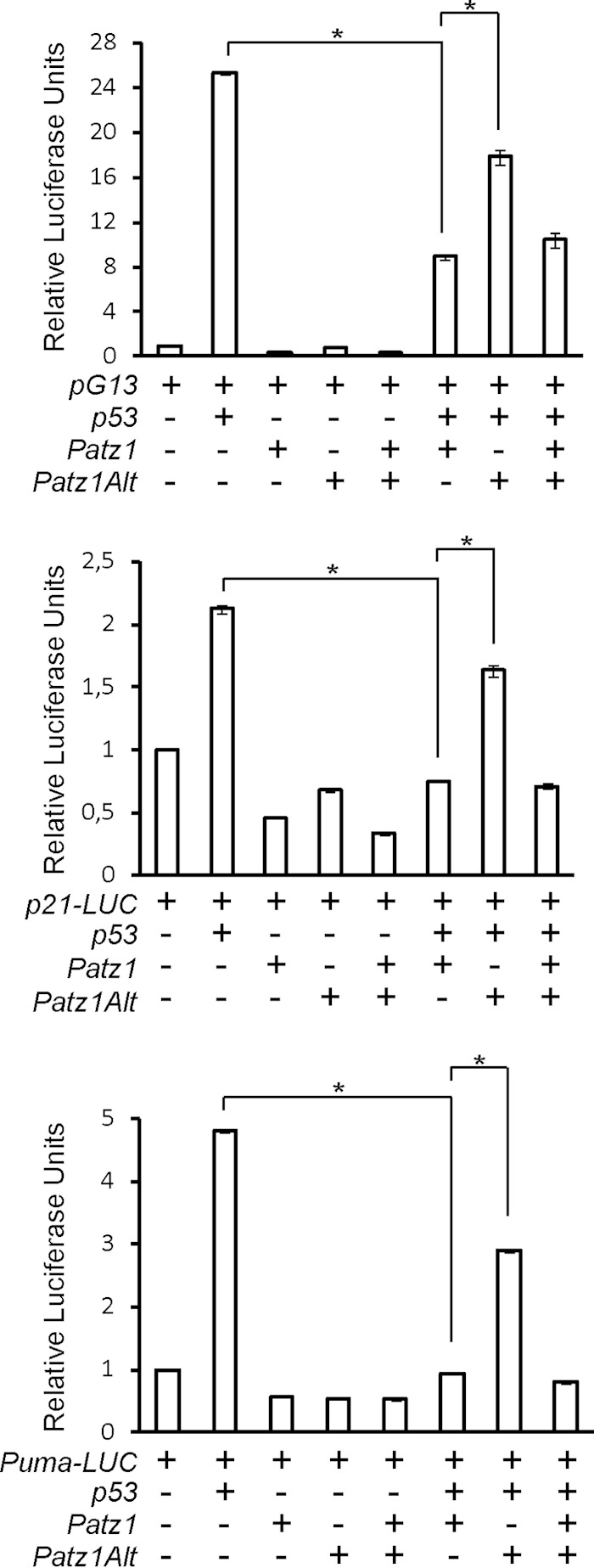 FIG 5