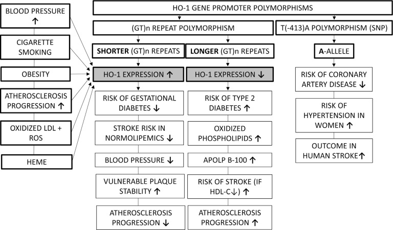 Fig. (2)