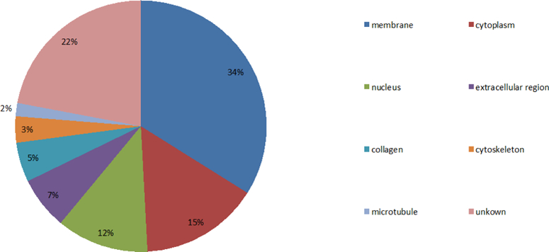 Figure 3A: