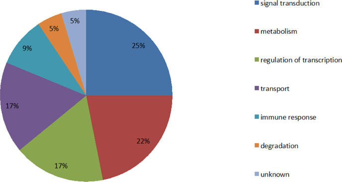 Figure 3B: