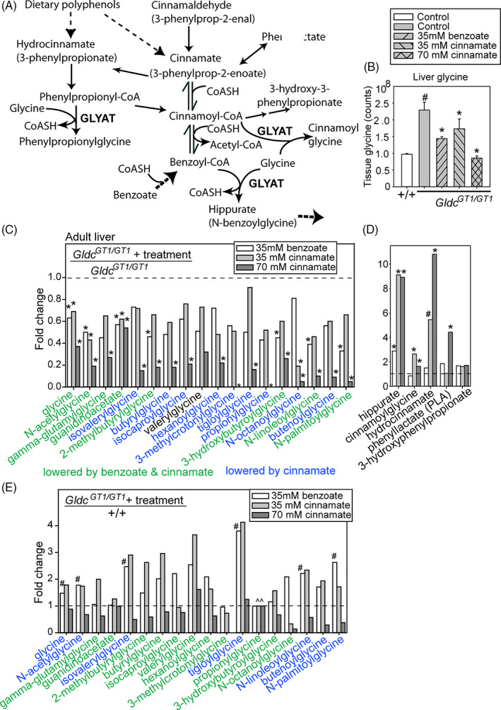 Regulation of glycine metabolism by the glycine cleavage system and ...