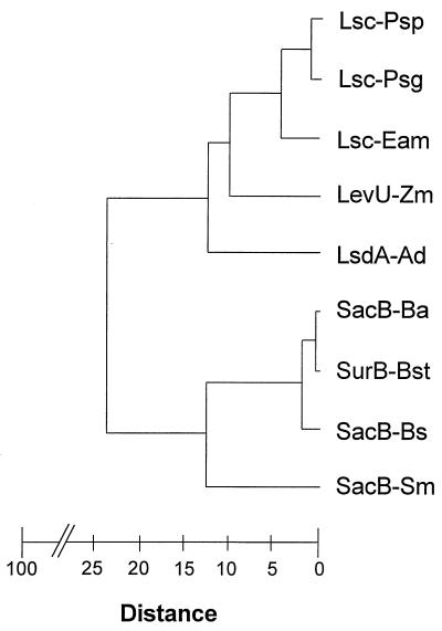 FIG. 5