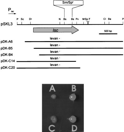 FIG. 3