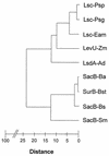 FIG. 5
