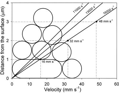 FIG. 6.