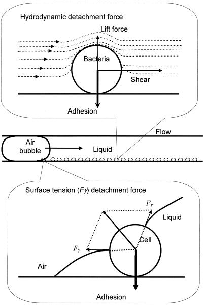 FIG. 1.