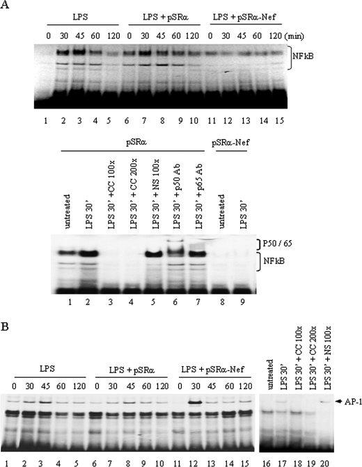 FIGURE 7.