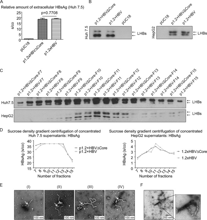 FIG 2