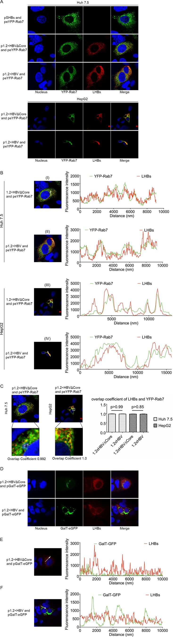 FIG 3