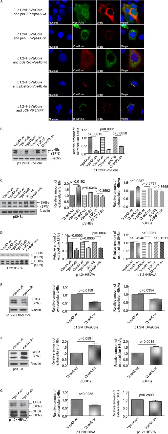 FIG 6