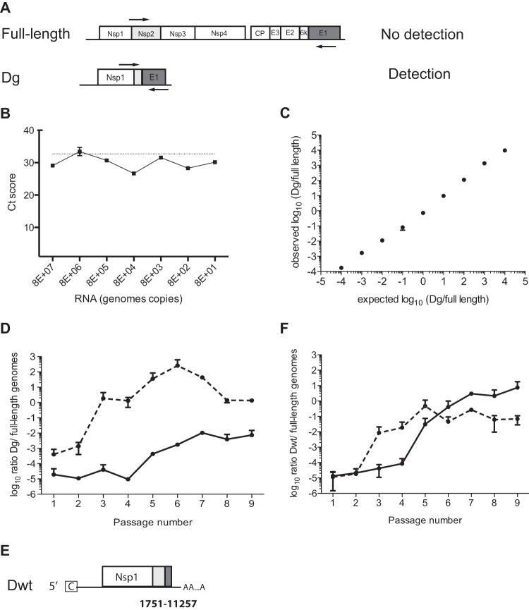 FIG 3