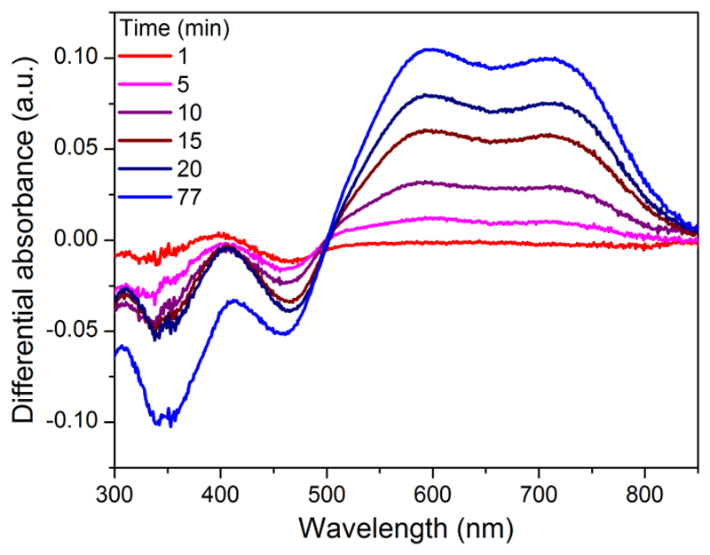 Figure 3