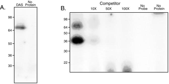 FIG. 6