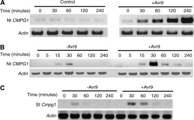 Figure 2.