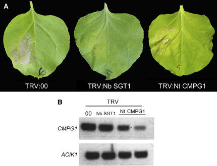 Figure 4.