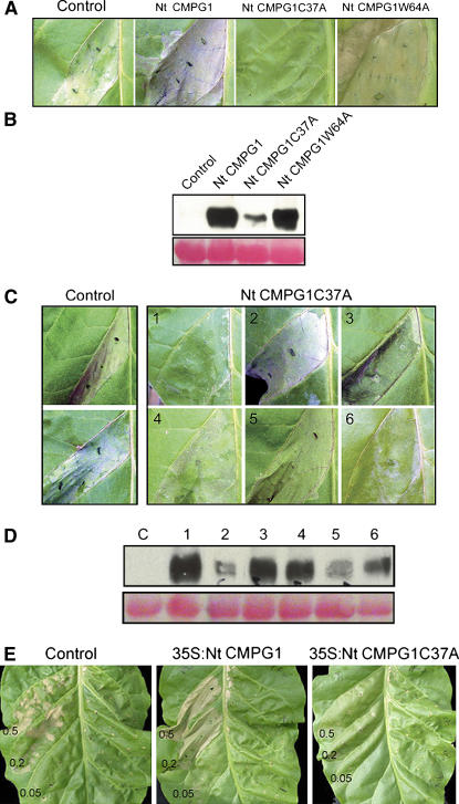 Figure 6.