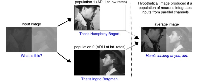 Figure 6—figure supplement 3.