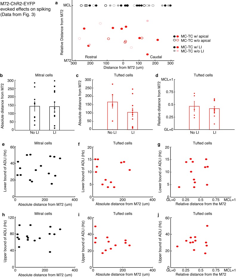 Figure 3—figure supplement 1.