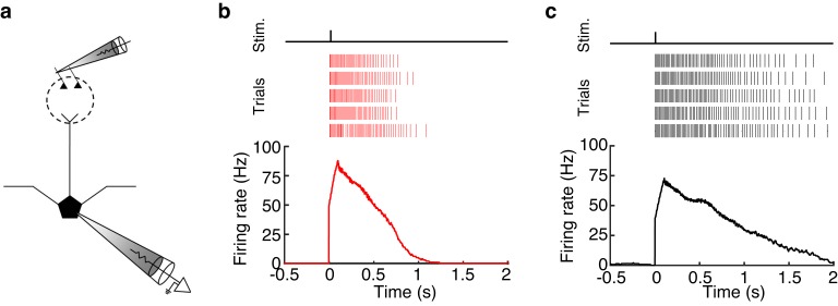 Figure 2—figure supplement 1.