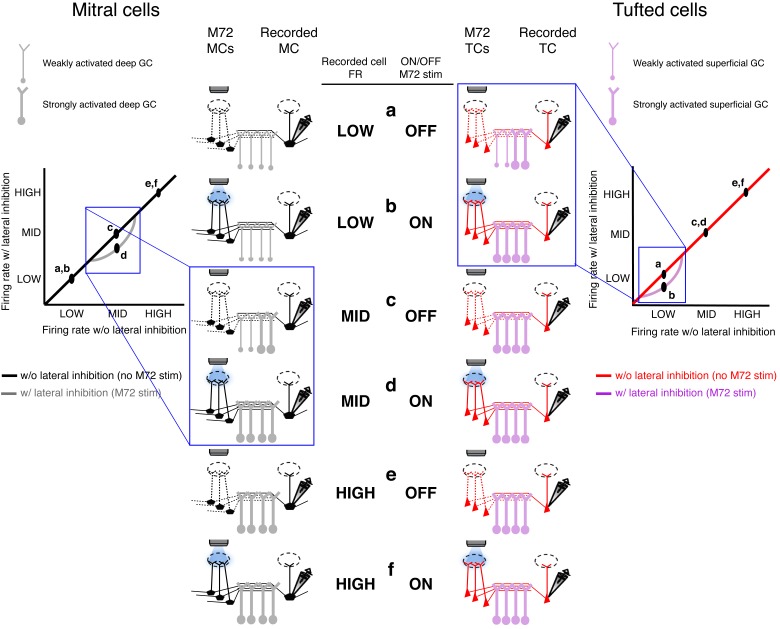 Figure 4—figure supplement 2.