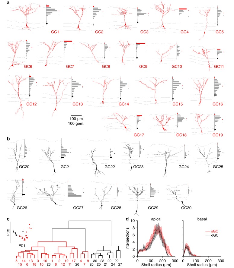 Figure 4—figure supplement 1.