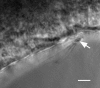 FIG. 5