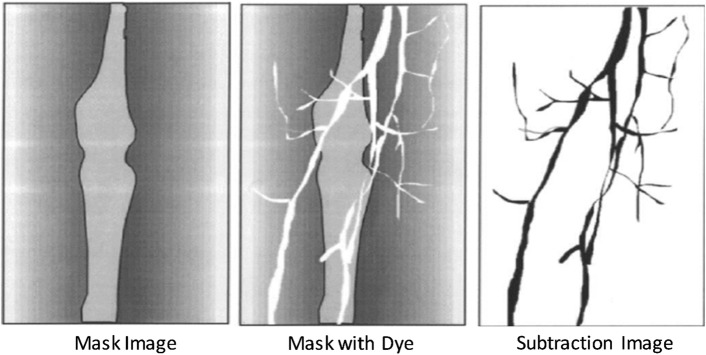 Fig. 3