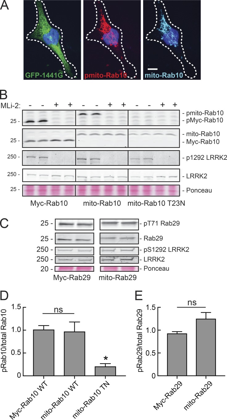 Figure 5.