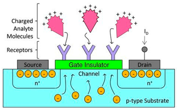 Figure 18