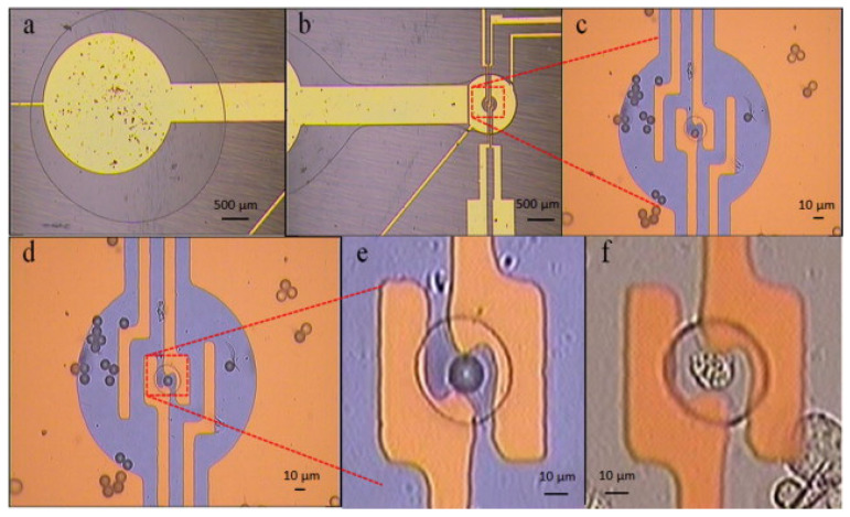 Figure 13