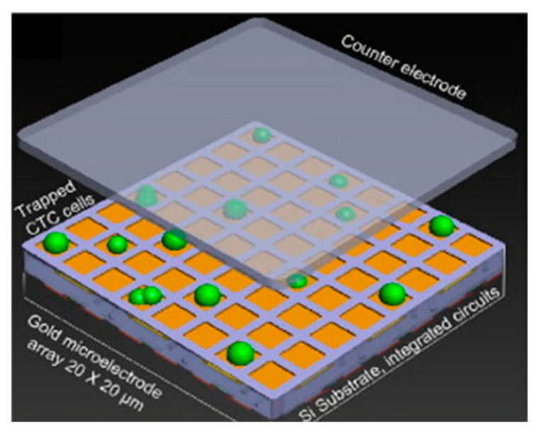 Figure 15