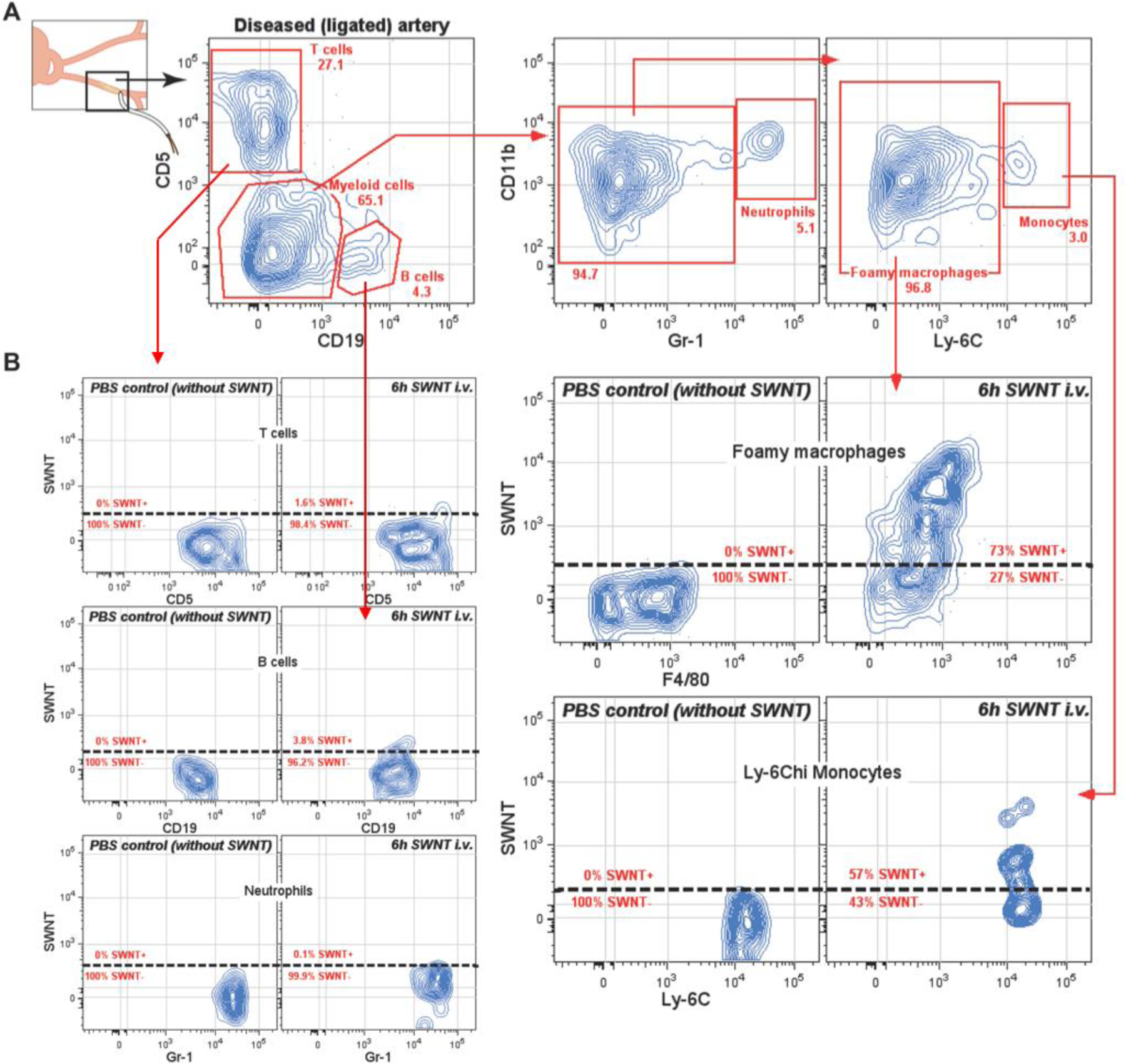 Figure 2.