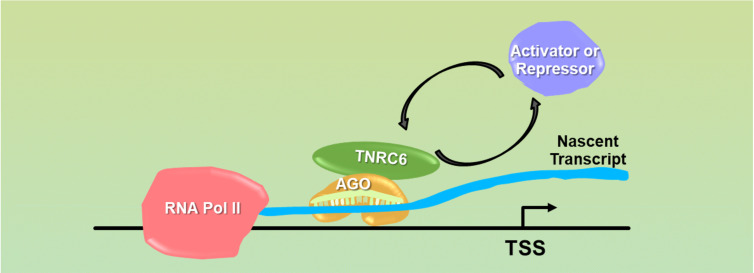 FIGURE 1.