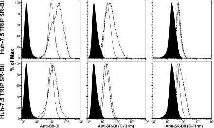 FIG. 2.