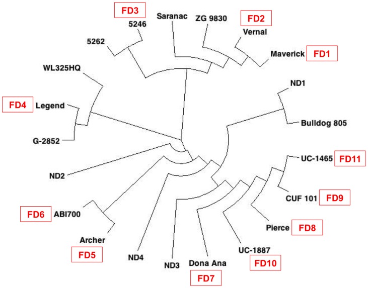 Figure 2