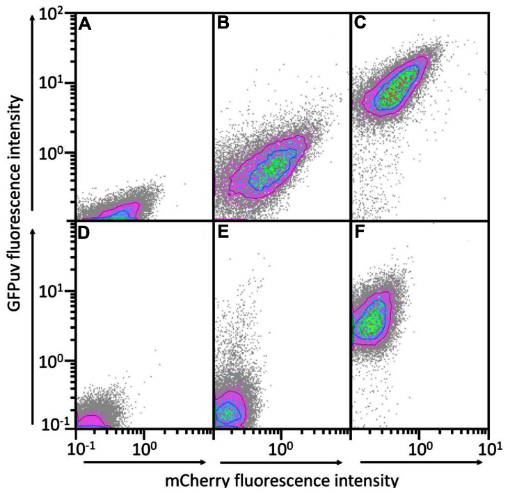 FIGURE 2