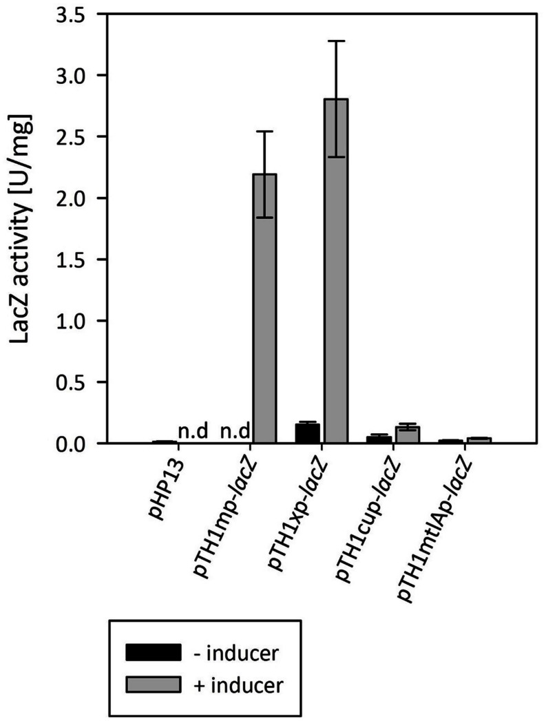 FIGURE 3