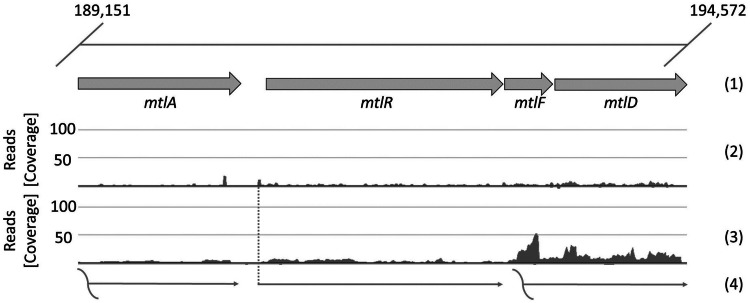 FIGURE 4