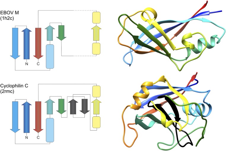 Fig. 4.