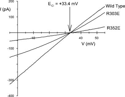 Figure 11.