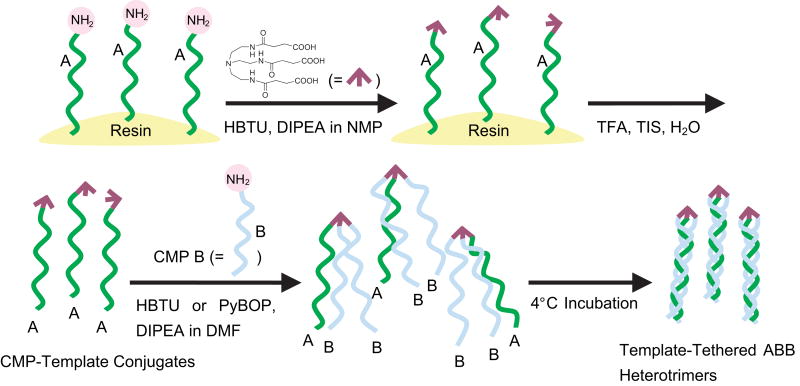 Scheme 1