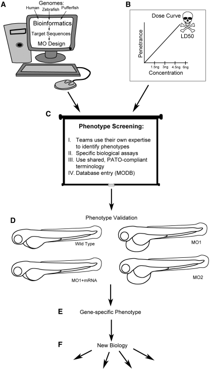 Figure 1: