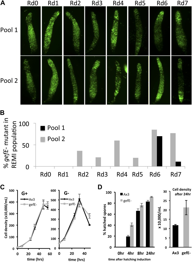 Figure 1—figure supplement 3.