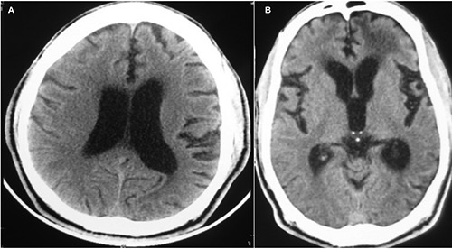 Figure 3.