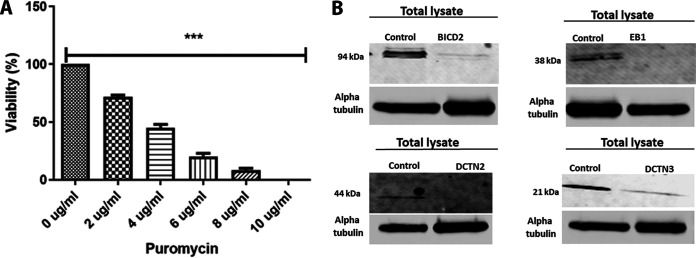 FIG 4