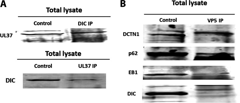 FIG 7