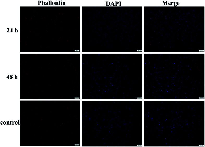 Fig. 9